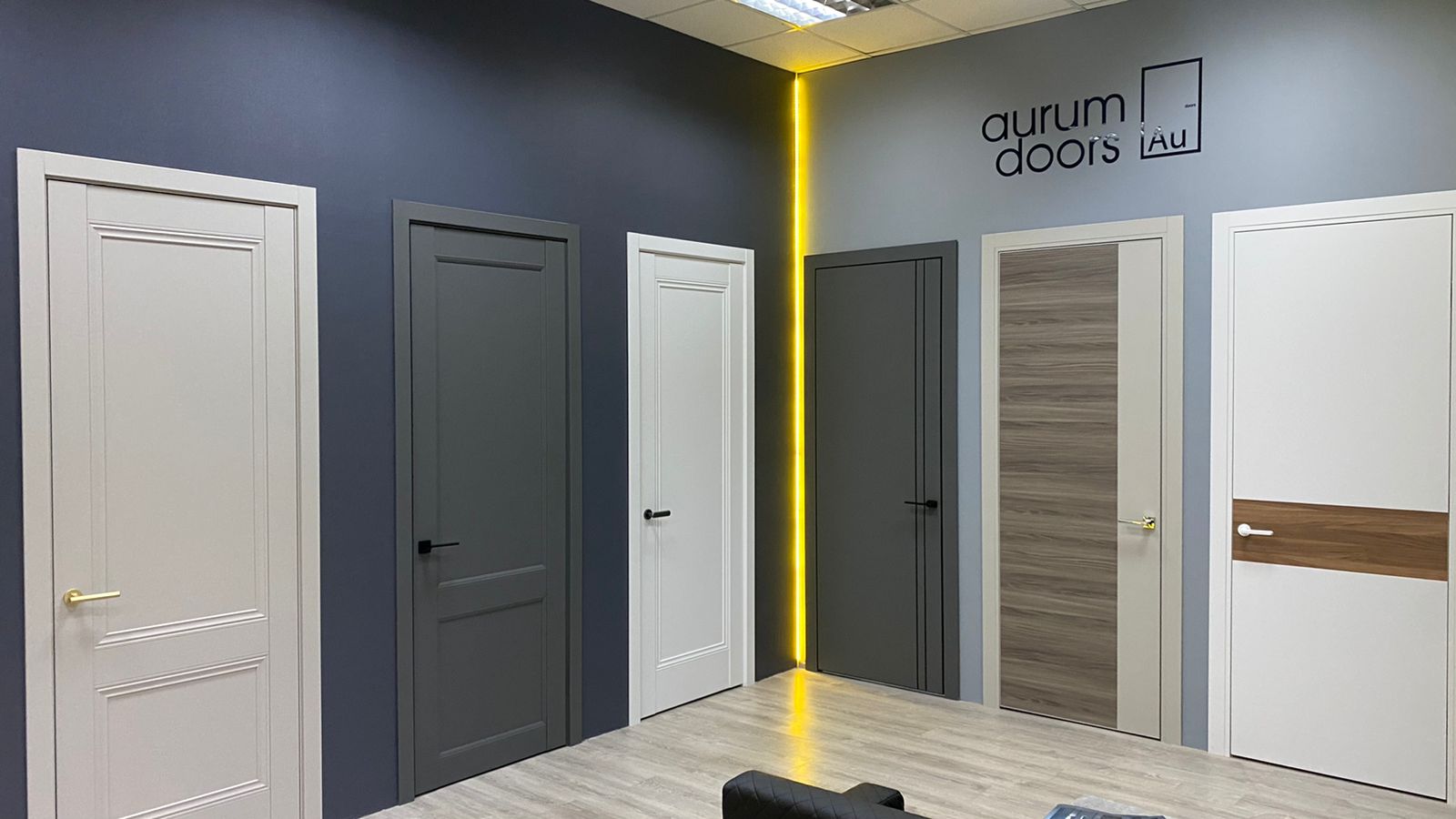 Двери в салоне